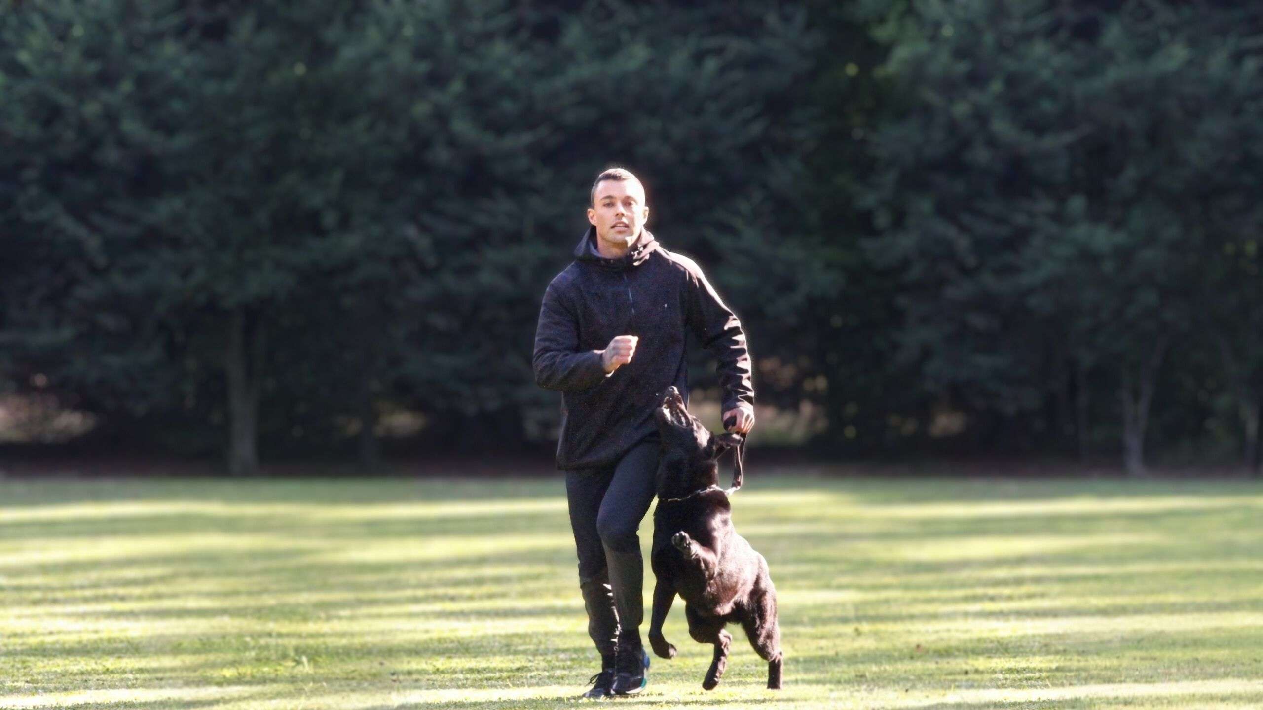 Private Dog Training Lessons Melbourne - Core Canine